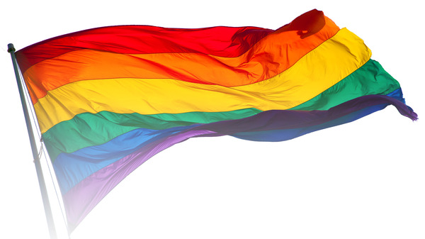 Rainbow_flag_breeze21.jpg