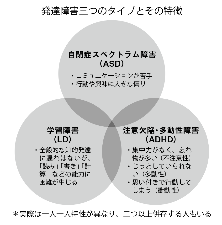 診断 障害 知 的