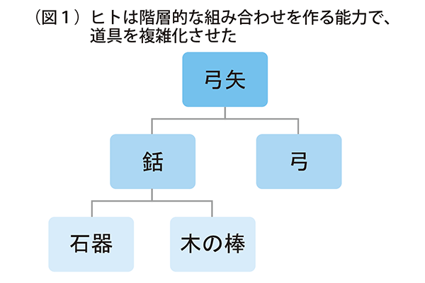 ことばの源を探る ことばの獲得と新たな言語の誕生から 東大新聞オンライン