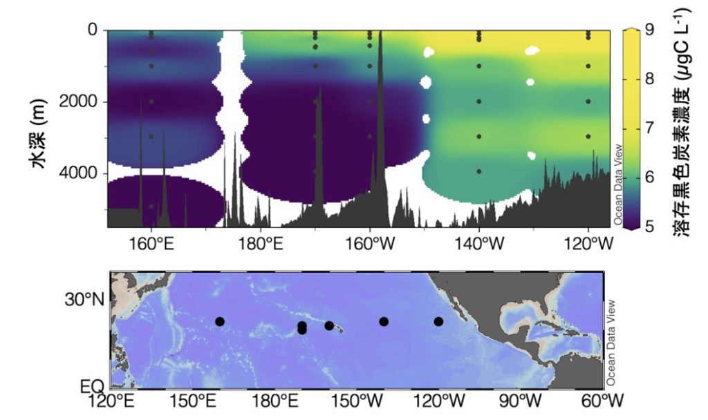 溶存黒色炭素の断面分布