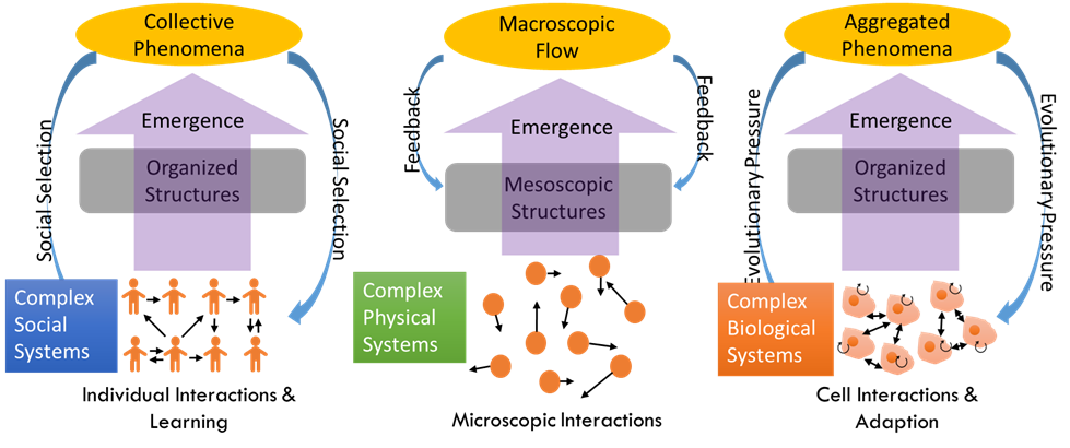 社会経済、複雑物理、生体システムの創発現象におけるボトムアップ的な自己組織化過程（陳教授提供）