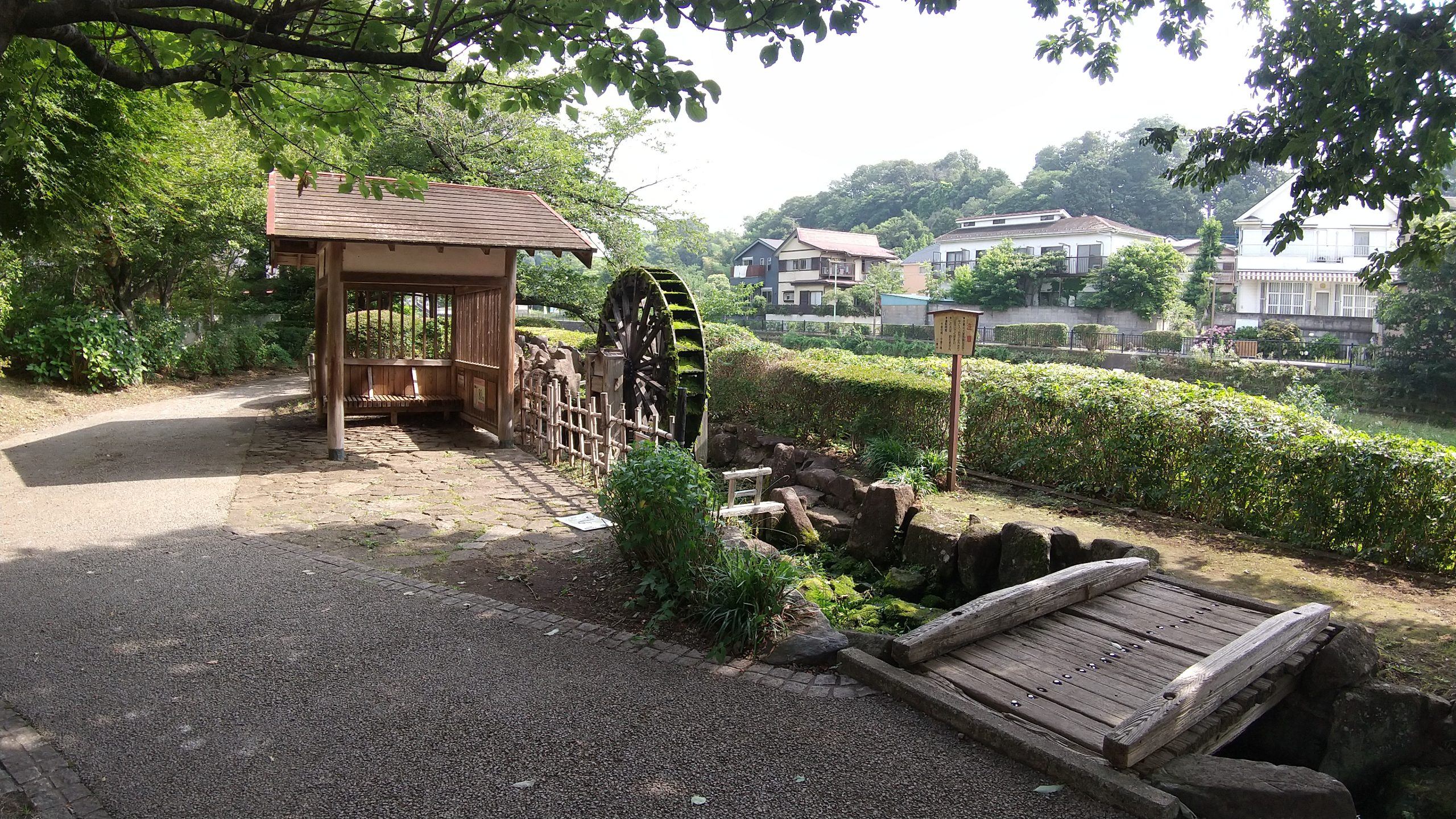 自然豊かな野川周辺