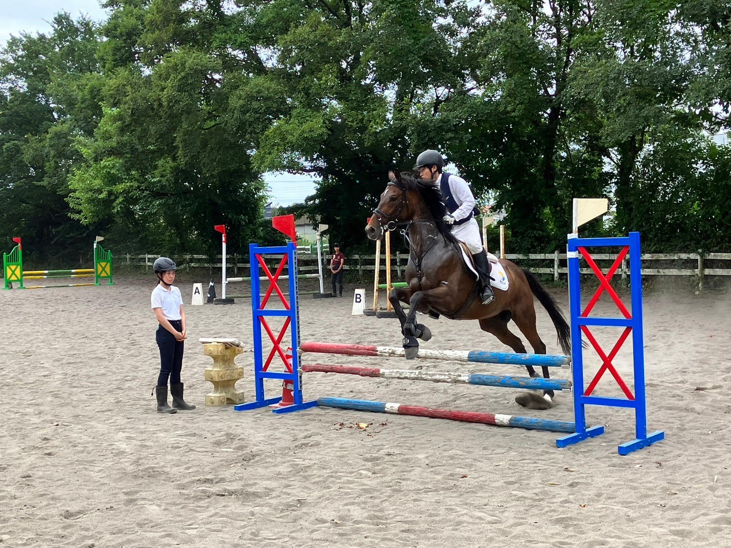 障害を飛び越える部員と馬（写真は東大馬術部提供）