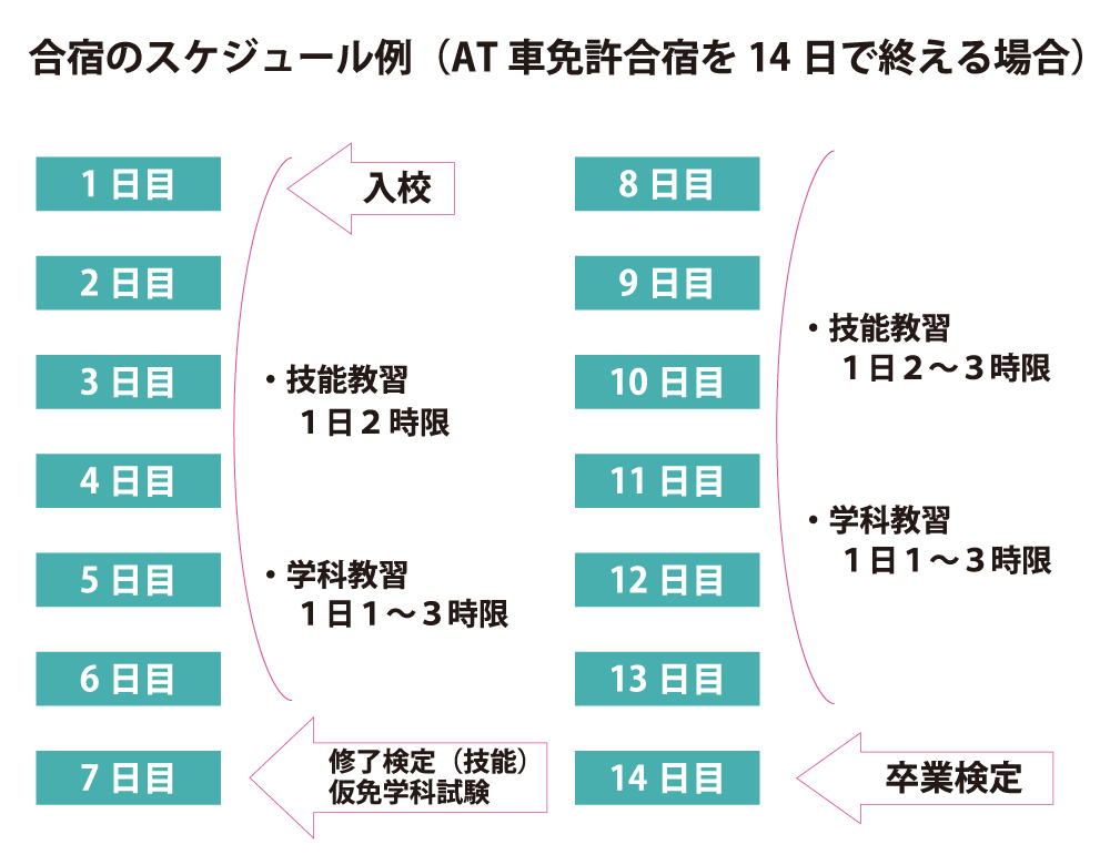 合宿免許のスケジュール例