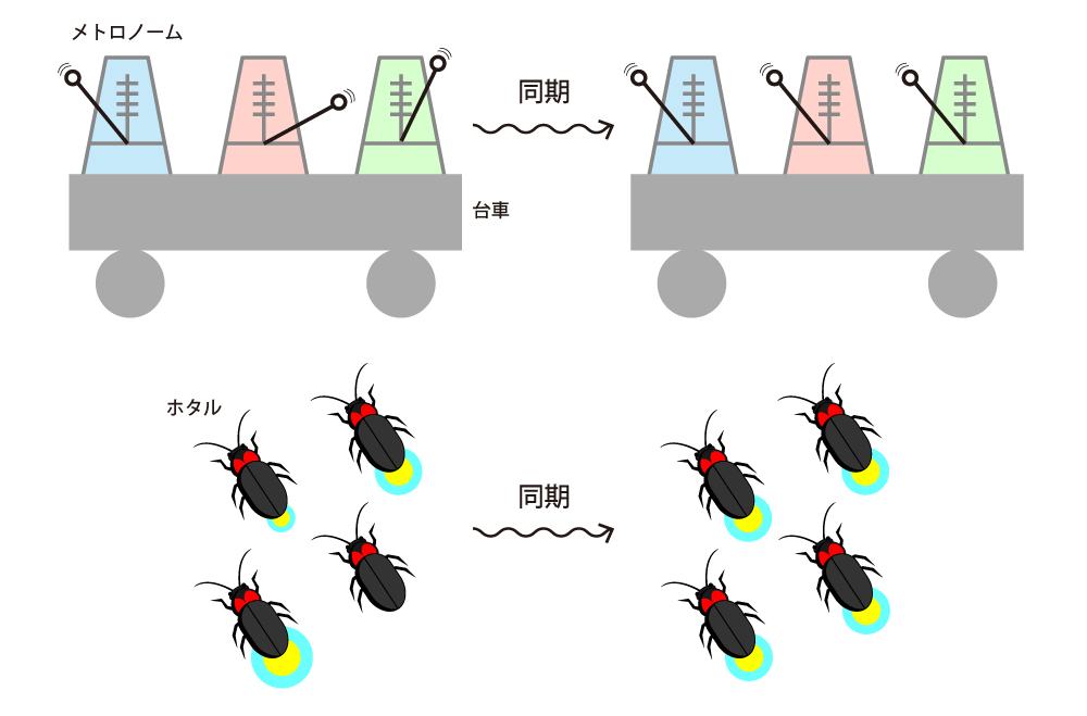 同期現象の例