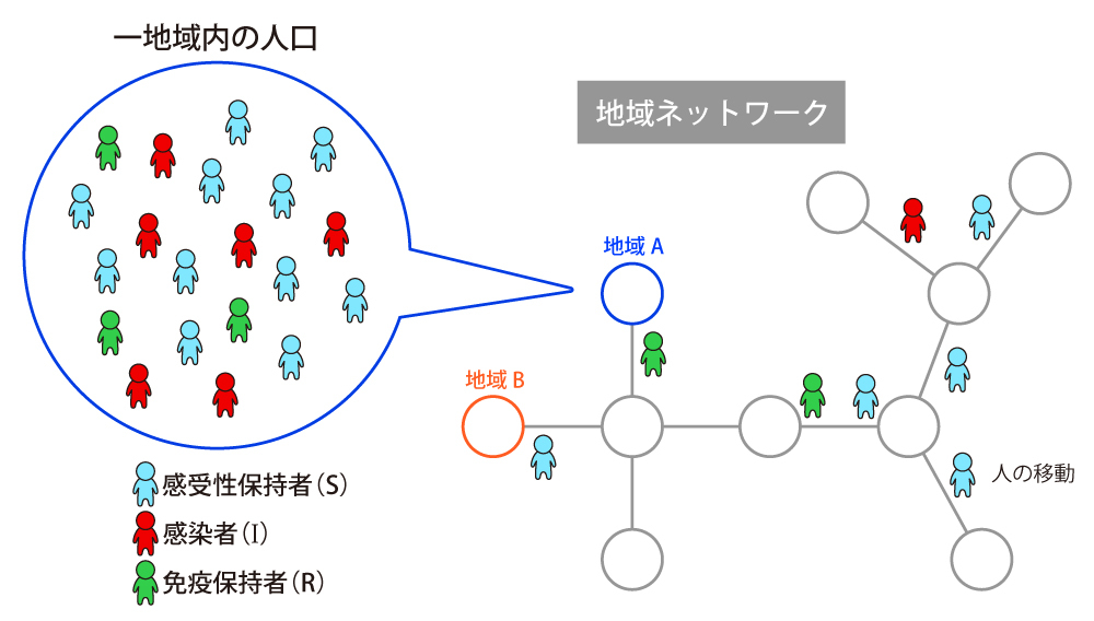地域ネットワーク上での感染症流行のモデル