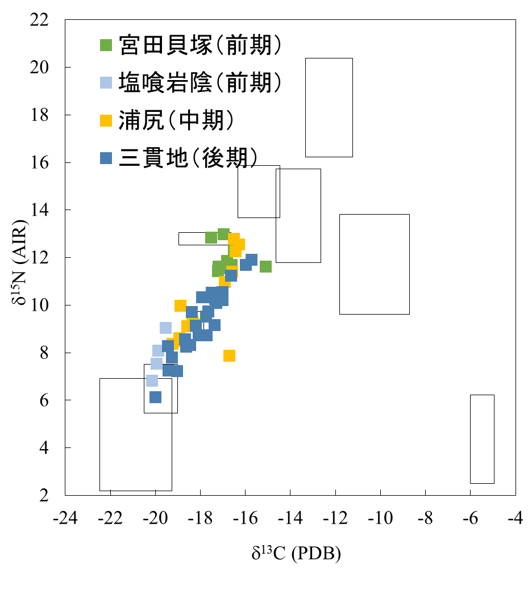 炭素窒素同位体比、縄文