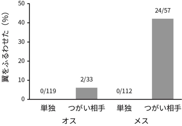 シジュウカラ、ジェスチャー