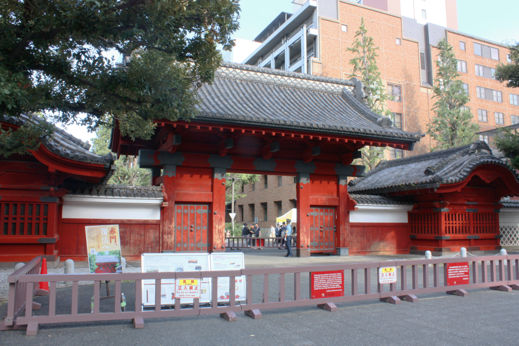 10月18日のホームカミングデーに合わせて開かれた赤門の写真。